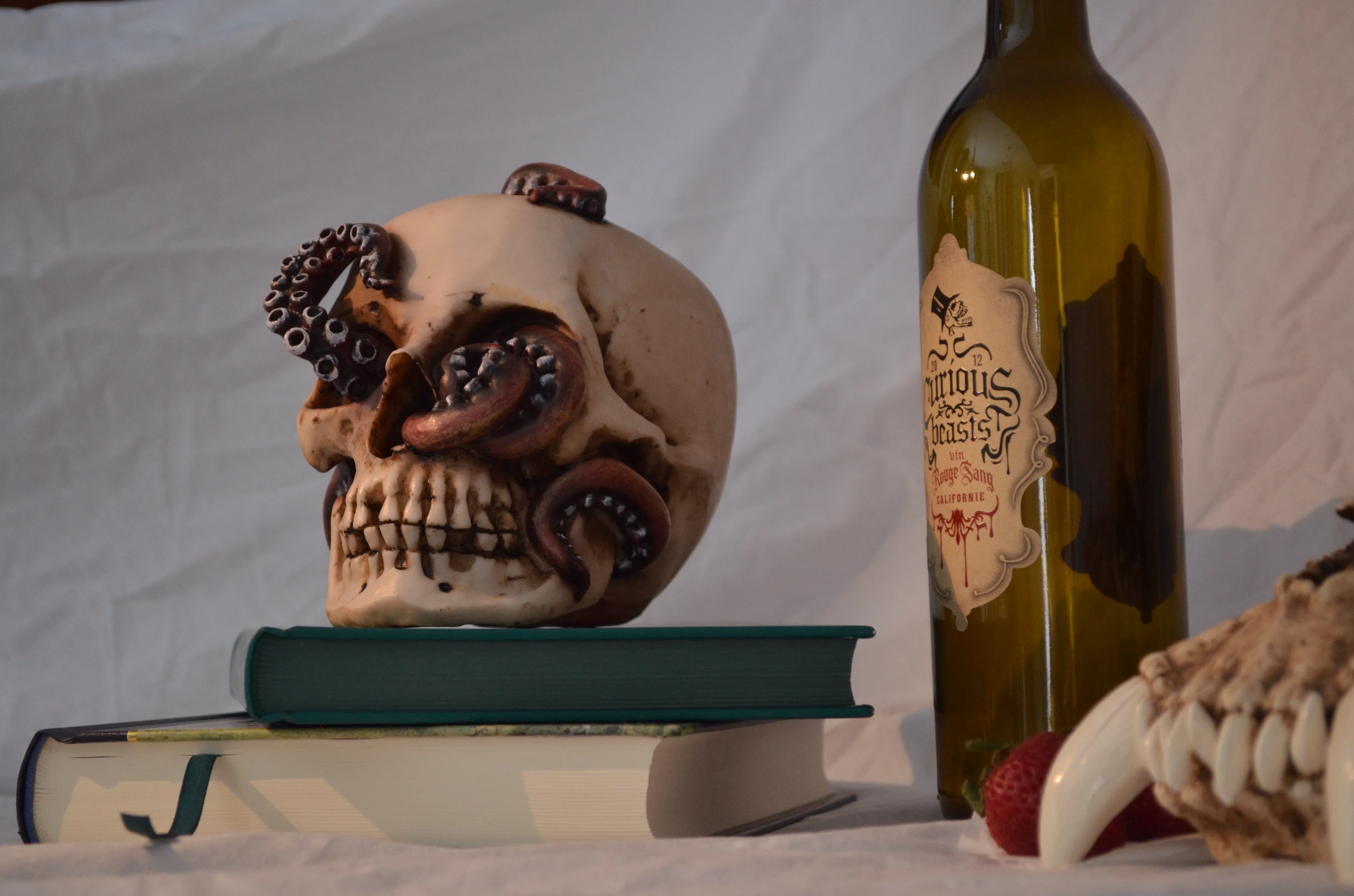 Photos de Nature Morte