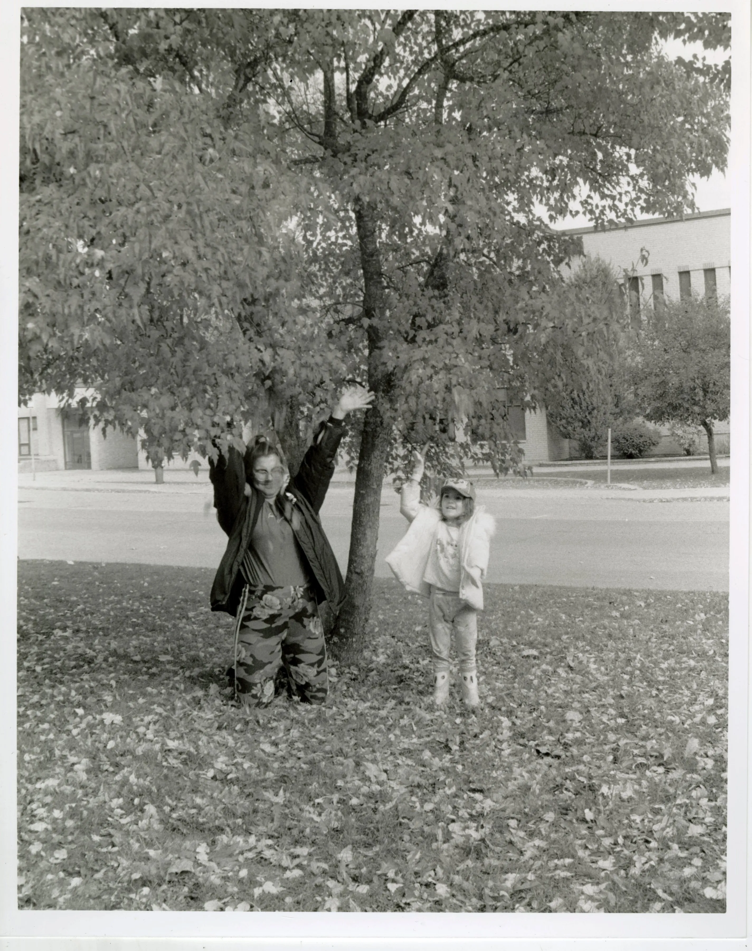 Photos Autumn leaves